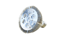 10W LED PAR30 Lamp